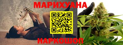 спиды Новодвинск