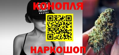 спиды Новодвинск
