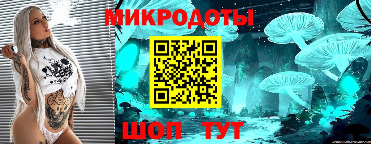 Псилоцибиновые грибы Psilocybine cubensis Алушта